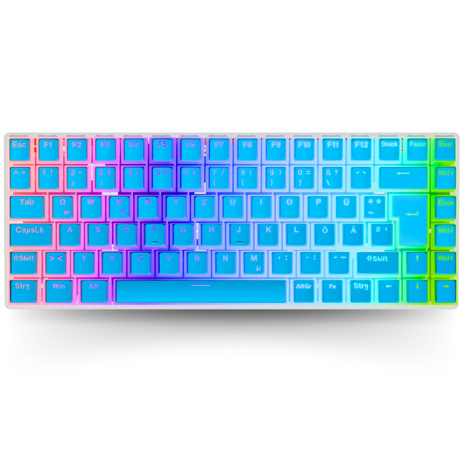 Nyfboard gen2 75% mit PBT Pudding Keycaps