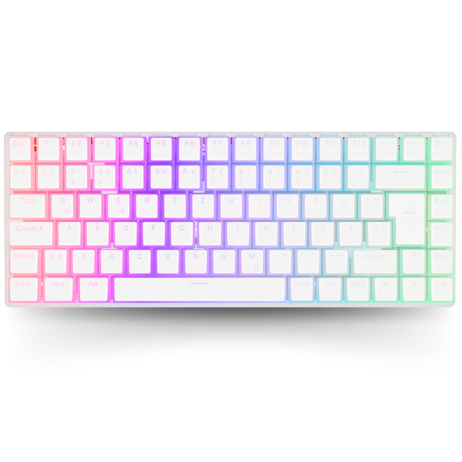 Nyfboard gen2 75% mit PBT Pudding Keycaps